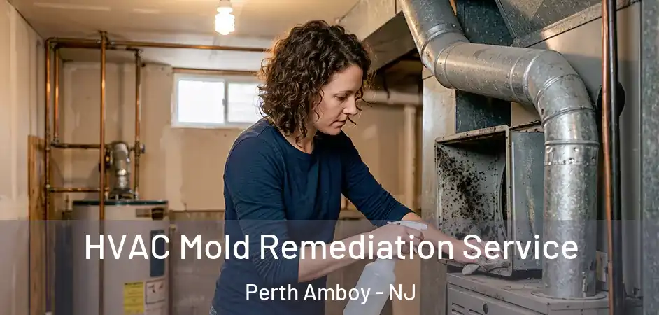 HVAC Mold Remediation Service Perth Amboy - NJ